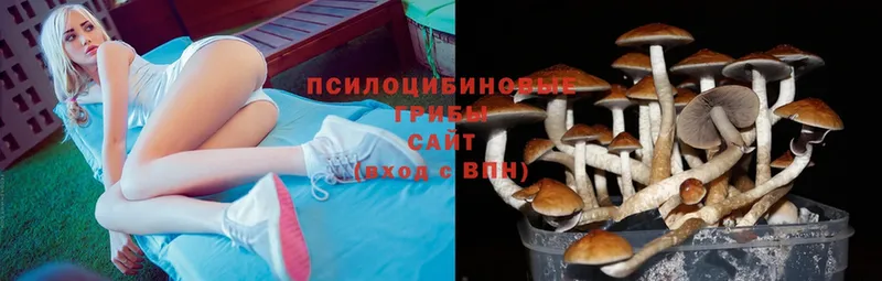 сайты даркнета наркотические препараты  Заречный  Псилоцибиновые грибы MAGIC MUSHROOMS 