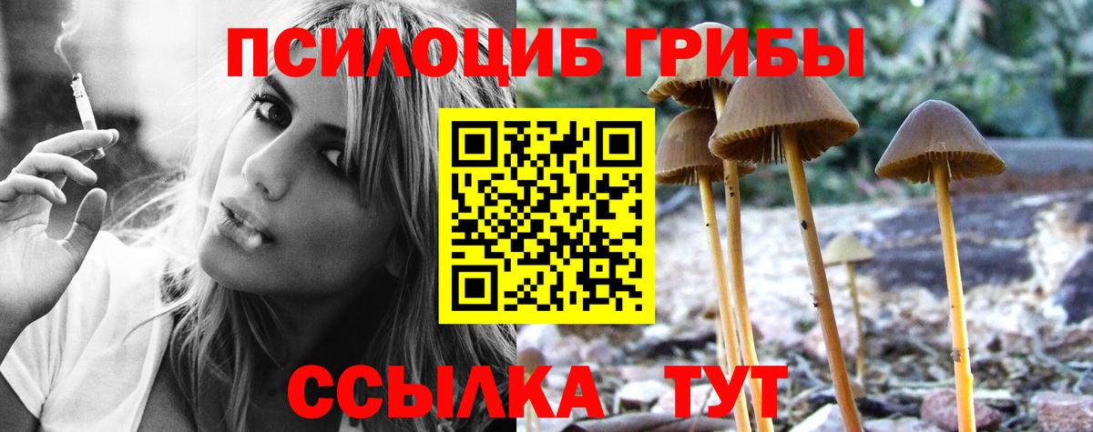 Галлюциногенные грибы MAGIC MUSHROOMS  Вход с VPN  Заречный 