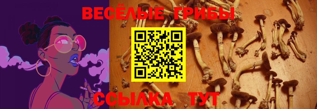 Псилоцибиновые грибы MAGIC MUSHROOMS  Заречный  Галлюциногенные грибы Psilocybe 